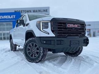 New 2024 GMC Sierra 1500 AT4X for sale in Rosetown, SK