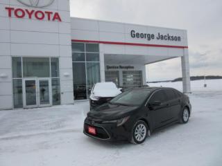 Used 2020 Toyota Corolla XLE for sale in Renfrew, ON