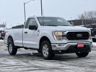 4WD, 3.31 Axle Ratio, 4-Wheel Disc Brakes, 5 Speakers, ABS brakes, Air Conditioning, Alloy wheels, AM/FM radio: SiriusXM with 360L, AppLink/Apple CarPlay and Android Auto, Auto High-beam Headlights, Auto Start-Stop Removal, Block heater, Brake assist, Bumpers: chrome, Cloth 40/20/40 Front Seat, Compass, Connected Navigation & SiriusXM w/360L Removal, Delay-off headlights, Driver door bin, Driver vanity mirror, Dual front impact airbags, Dual front side impact airbags, Electronic Stability Control, Emergency communication system: SYNC 4 911 Assist, Equipment Group 300A Standard, Exterior Parking Camera Rear, Front anti-roll bar, Front fog lights, Front reading lights, Front wheel independent suspension, Fully automatic headlights, GVWR: 3,152 kg (6,950 lb) Payload Package, Heated door mirrors, Illuminated entry, Low tire pressure warning, Occupant sensing airbag, Outside temperature display, Overhead airbag, Overhead console, Panic alarm, Passenger door bin, Passenger vanity mirror, Power door mirrors, Power steering, Power windows, Radio data system, Radio: AM/FM SiriusXM w/360L, Rear step bumper, Rear window defroster, Remote keyless entry, Security system, Speed control, Speed-sensing steering, Steering wheel mounted audio controls, SYNC 4 w/Enhanced Voice Recognition, Tachometer, Telescoping steering wheel, Tilt steering wheel, Traction control, Trip computer, Variably intermittent wipers, Voltmeter, Wheels: 17 Silver Painted Aluminum.

XLT 5.0L V8 4WD 10-Speed Automatic
Oxford White