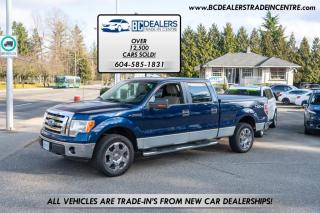 Used 2009 Ford F-150 4x4 SuperCrew, V8, Local, No Accidents, Bluetooth, Clean! for sale in Surrey, BC