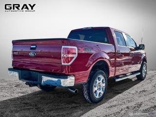 2012 Ford F-150  - Photo #5