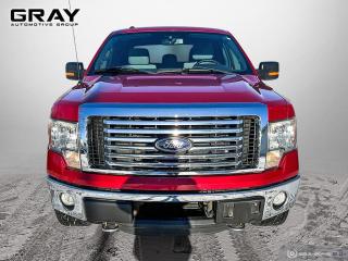 2012 Ford F-150  - Photo #8