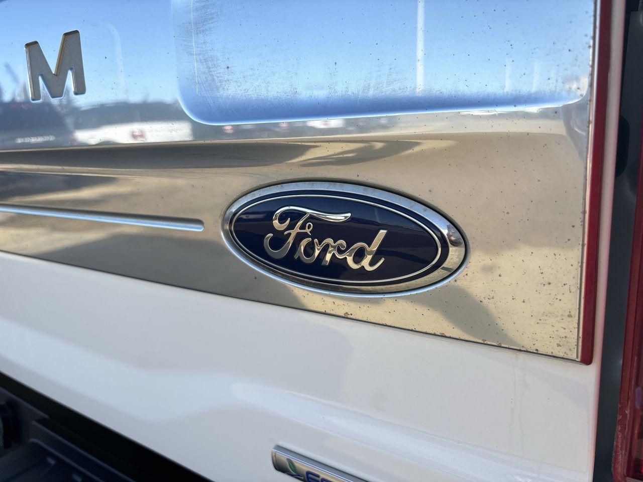 2022 Ford F-150 PLATINUM Photo5