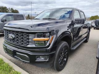 New 2024 Ford F-150 STX for sale in Pembroke, ON