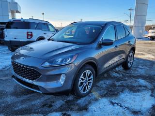 Used 2021 Ford Escape SEL for sale in Woodstock, NB