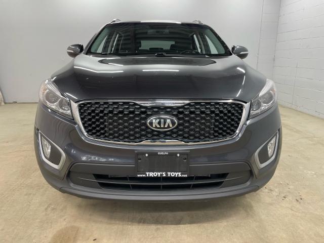 2017 Kia Sorento LX V6 Photo2