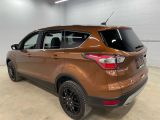 2017 Ford Escape SE Photo24