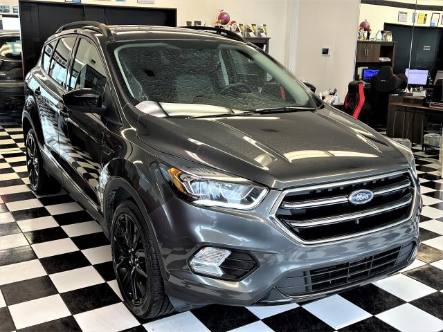 2017 Ford Escape SE Apperance PKG AWD+GPS+New Tires+CLEAN CARFAX Photo5