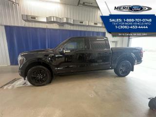 New 2024 Ford F-150 PLATINUM for sale in Carlyle, SK