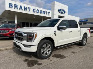 Used 2023 Ford F-150 PLATINUM 4WD SUPERCREW 5.5' BOX for sale in Brantford, ON