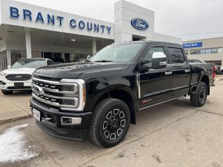 Used 2024 Ford F-250 Platinum for sale in Brantford, ON