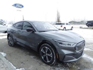 <p>The Mustang Mach-E is so bad in the best possible way! The speed and AWD agility will take your breath away! Stop by and test drive one today !</p>
<a href=http://www.lacombeford.com/new/inventory/Ford-Mustang_MachE-2023-id10376850.html>http://www.lacombeford.com/new/inventory/Ford-Mustang_MachE-2023-id10376850.html</a>