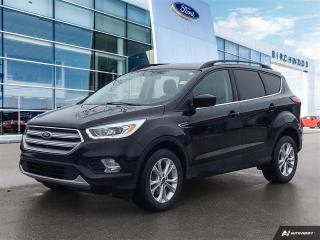 Used 2019 Ford Escape SEL 4WD | Leather | Sync 3 | Accident Free for sale in Winnipeg, MB