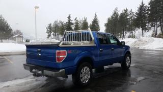 2014 Ford F-150 XLT SuperCrew 5.5-ft. Bed 4WD - Photo #4
