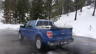 2014 Ford F-150 XLT SuperCrew 5.5-ft. Bed 4WD - Photo #5