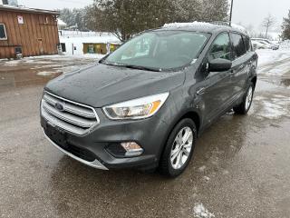 Used 2019 Ford Escape SE Backup camera extra 4 sets of summer tires with rims for sale in Waterloo, ON
