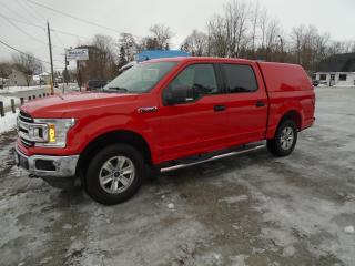 Used 2019 Ford F-150 XLT Super Crew 4X4 for sale in Beaverton, ON