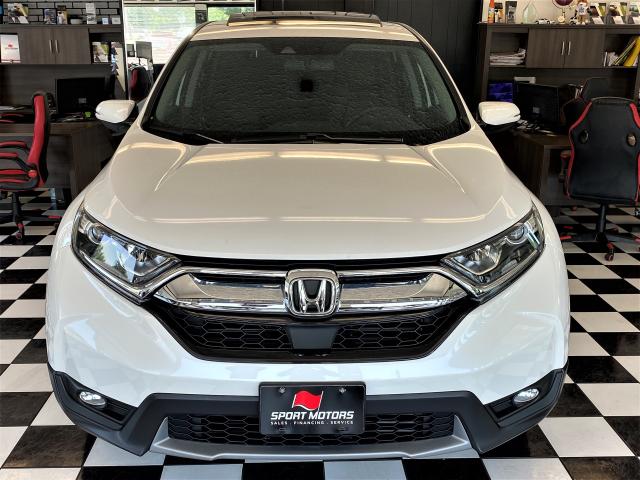 2019 Honda CR-V EX-L+Leather+Roof+ApplePlay+LaneKeep+CLEAN CARFAX Photo6