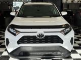 2019 Toyota RAV4 LE+Adaptive Cruise+ApplePlay+LEDs+CLEAN CARFAX Photo66