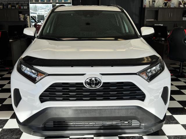 2019 Toyota RAV4 LE+Adaptive Cruise+ApplePlay+LEDs+CLEAN CARFAX Photo6