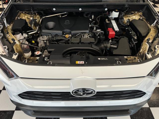 2019 Toyota RAV4 LE+Adaptive Cruise+ApplePlay+LEDs+CLEAN CARFAX Photo7