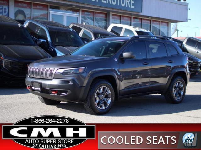 2019 Jeep Cherokee Trailhawk  COLD-SEATS HTD-SW P/GATE