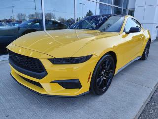 New 2024 Ford Mustang EcoBoost Premium for sale in Pembroke, ON