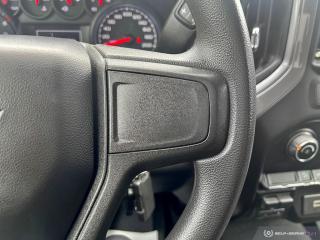 2019 Chevrolet Silverado 1500 CUSTOM TRAIL BOSS / 4X4 / EXT CAB / V8 - Photo #15