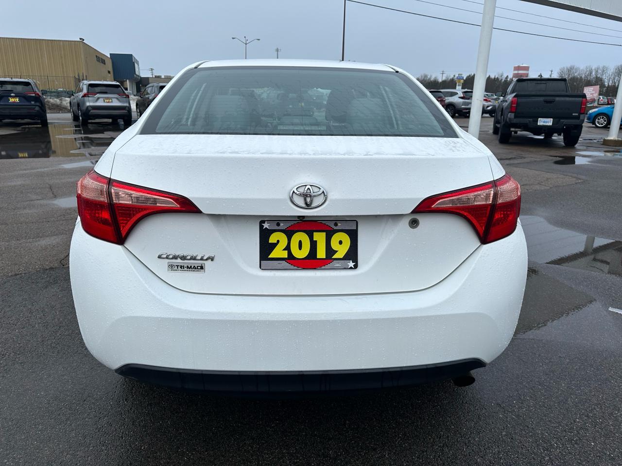 2019 Toyota Corolla CE Auto Photo