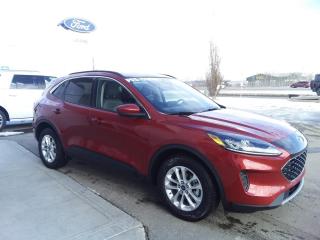 Used 2020 Ford Escape SE for sale in Lacombe, AB