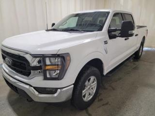 New 2023 Ford F-150 XLT 300A W/ TRAILER TOW PACKAGE for sale in Regina, SK