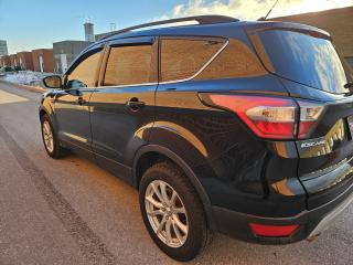 2018 Ford Escape SEL FWD No Accidents - Photo #6