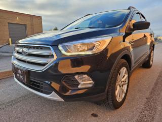 2018 Ford Escape SEL FWD No Accidents - Photo #3