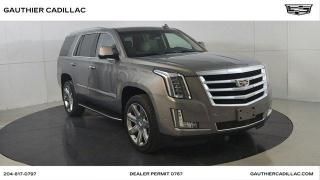 Used 2019 Cadillac Escalade Premium Luxury for sale in Winnipeg, MB