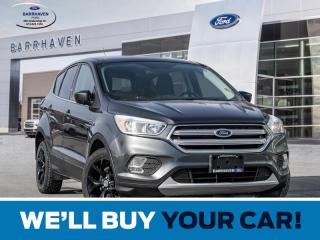 Used 2019 Ford Escape SE for sale in Ottawa, ON