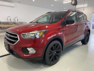 Used 2017 Ford Escape SE *No accidents* Rustproofed! Low Mileage! for sale in Dunnville, ON