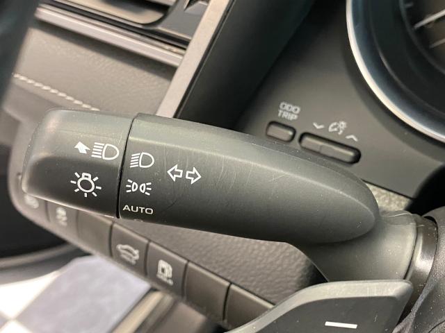 2019 Toyota Camry SE+Leather+ApplePlay+Adaptive Cruise+CLEANC CARFAX Photo49