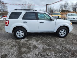 2009 Ford Escape 4WD 4DR V6 AUTO XLT - Photo #8