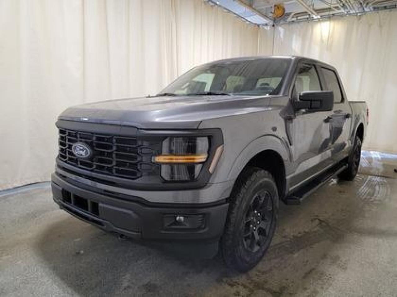 New 2024 Ford F-150 STX W/ MUDFLAPS for sale in Regina, SK