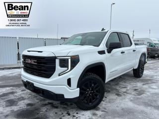 New 2024 GMC Sierra 1500 Pro 2.7L 4CYL WITH REMOTE START/ENTRY, HITCH GUIDANCE, HD REAR VISION CAMERA, EZ LIFT TAILGATE for sale in Carleton Place, ON