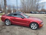 2006 Ford Mustang GT Deluxe Convertible Photo31