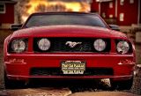 2006 Ford Mustang GT Deluxe Convertible Photo54