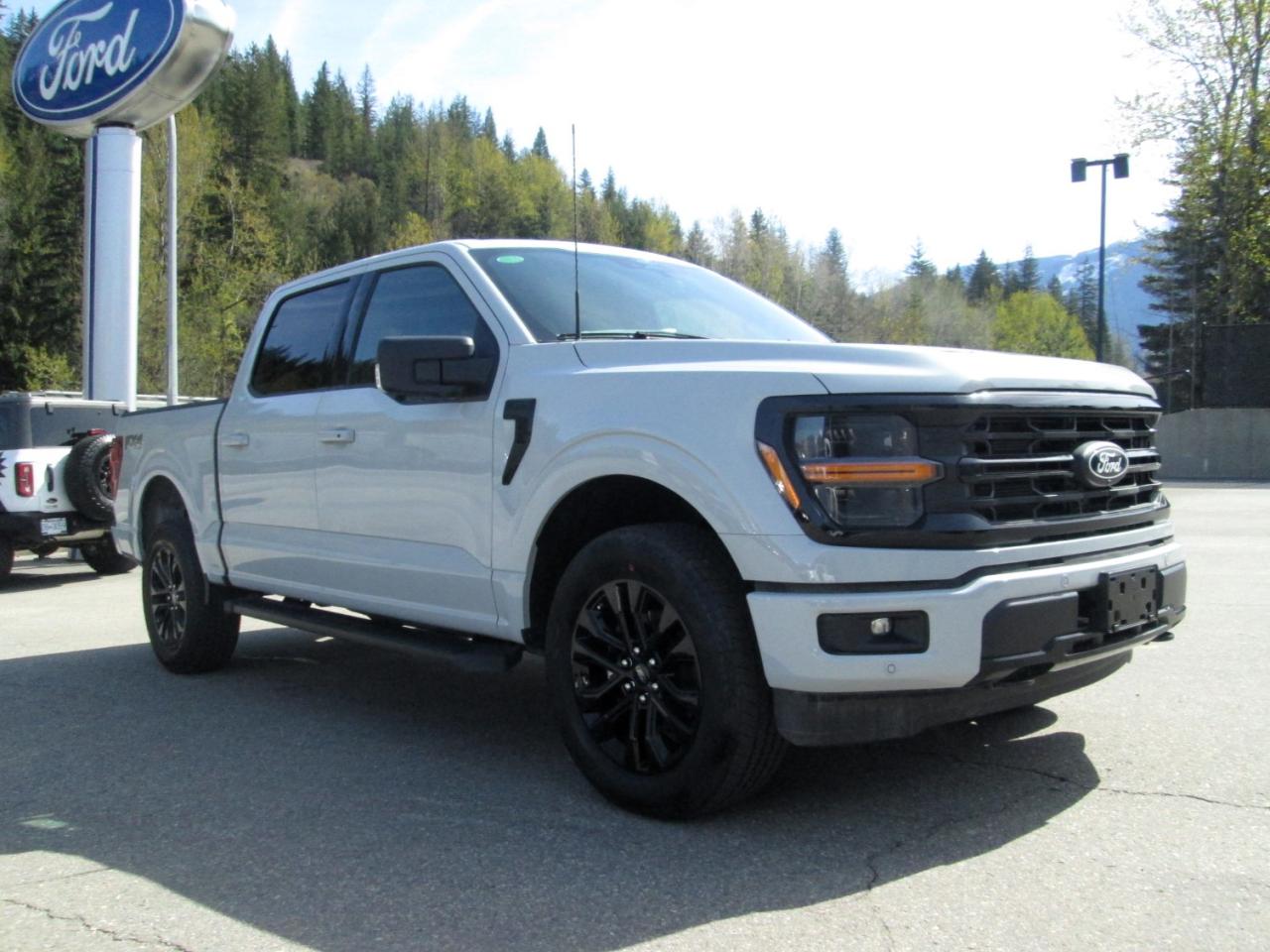 2024 Ford F-150 XLT Photo5