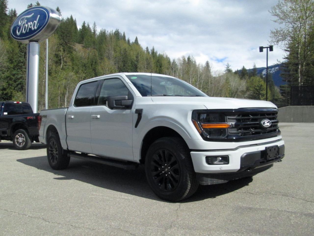 2024 Ford F-150 XLT Photo5