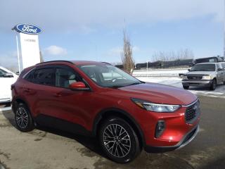 New 2024 Ford Escape PHEV for sale in Lacombe, AB