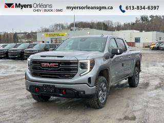 New 2024 GMC Sierra 1500 AT4  - Running Boards for sale in Orleans, ON