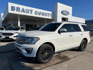 Used 2021 Ford Expedition Limited 4X4 for sale in Brantford, ON