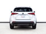 2020 Lexus NX F-SPORT | AWD | Red Leather | Sunroof | ACC | BSM