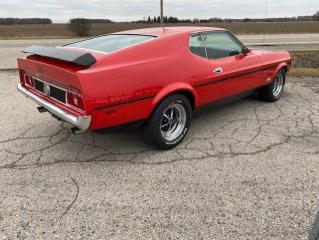 1973 Ford Mustang Mach-1 - Photo #23