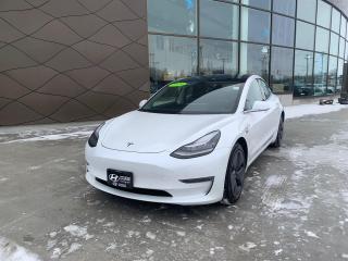 Used 2020 Tesla Model 3 STANDARD RANGE PLUS for sale in Winnipeg, MB